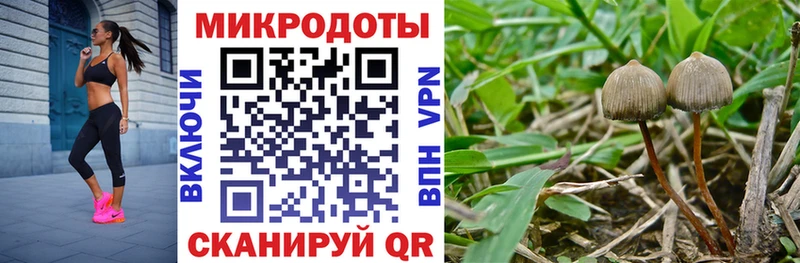 Псилоцибиновые грибы мухоморы что такое наркотик Камешково